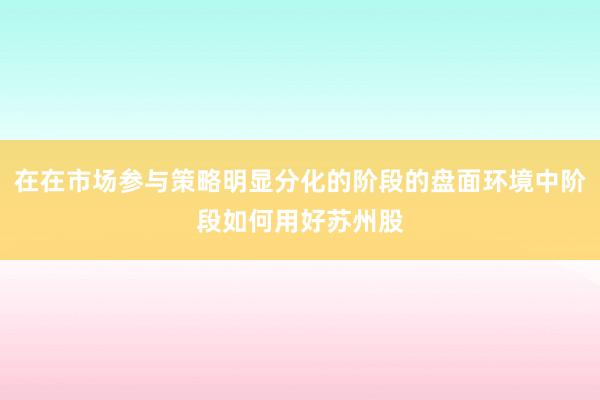 在在市场参与策略明显分化的阶段的盘面环境中阶段如何用好苏州股